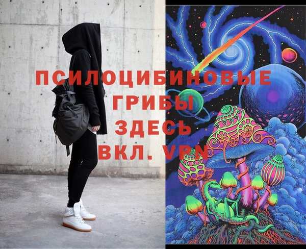 спайс Алексин