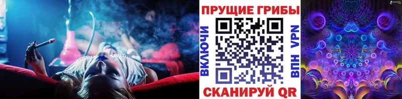 Псилоцибиновые грибы Magic Shrooms  Чернушка 